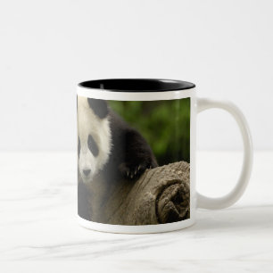 Riesen-Panda-Baby Zweifarbige Tasse