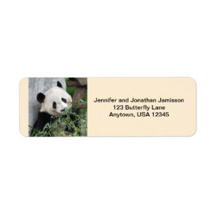 Riesen-Pandas-Rücksendeadressen-Aufkleber, Tan