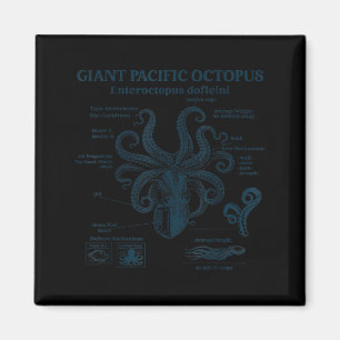 Riesen-Pazifik-Oktopus Anatomie Ozean Meer Biologi Magnet