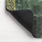 Riesen-Sequoia-Bäume im Wald, Sequoia und Mousepad (Ecke)