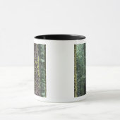 Riesen-Sequoia-Bäume im Wald, Sequoia und Tasse (Zentrum)