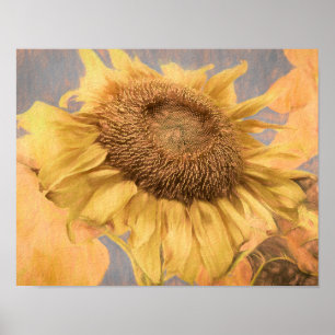 Riesen-Sonnenblumen Land Gelb Grau Deco Poster