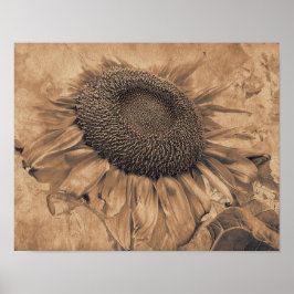 Riesen-Sonnenblumen Vintag Sepia Brown Blumenmuseu Poster