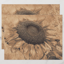 Riesen-Sonnenblumen Vintag Sepia Brown Decoupage