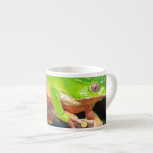 Riesen-Zweifarbiger-Affen-Laubfrosch, Phyllomedusa Espressotasse