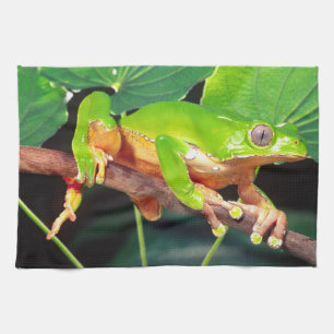 Riesen-Zweifarbiger-Affen-Laubfrosch, Phyllomedusa Geschirrtuch