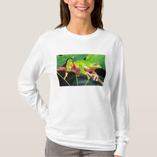 Riesen-Zweifarbiger-Affen-Laubfrosch, Phyllomedusa T-Shirt