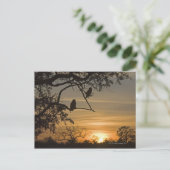 Riesenadleröwen (Bubo lacteus), silhouettiert am Postkarte (Stehend Vorderseite)