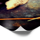 Riesenafrikanische Landschnecken Gerahmt Art Poster (Ecke)