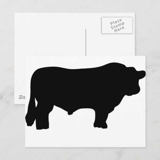 Riesenangusbulle Postkarte (Vorne/Hinten)