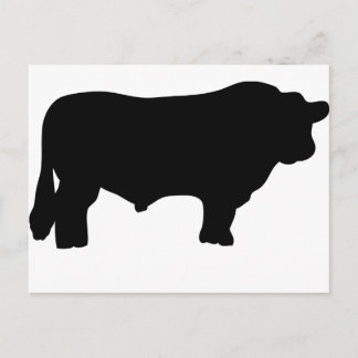 Riesenangusbulle Postkarte