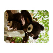 Riesenbär Relaxen im Paradies Magnet (Horizontal)