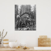 Riesenbaum bereit zum Fall, 1902 Poster (Küche)