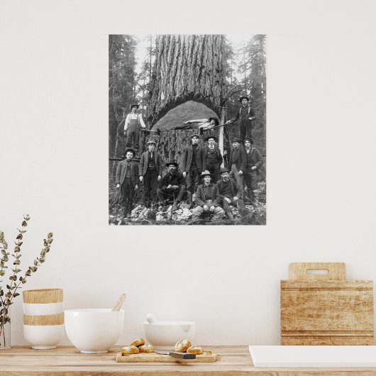 Riesenbaum bereit zum Fall, 1902 Poster (Küche)