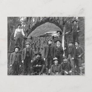 Riesenbaum bereit zum Fall, 1902 Postkarte