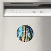 Riesenbäume - Sequoia-Nationalwald Magnet (In Situ (Geschirrspüler))