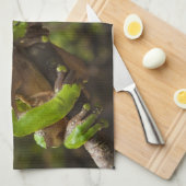 Riesenblätterfrosch Phyllomedusa bicolor) Handtuch (Viertel Falte)