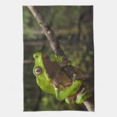 Riesenblätterfrosch Phyllomedusa bicolor) Handtuch (Vertikal)