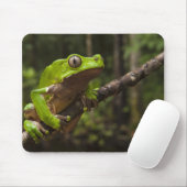 Riesenblätterfrosch Phyllomedusa bicolor) Mousepad (Mit Mouse)