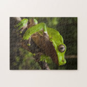 Riesenblätterfrosch Phyllomedusa bicolor) Puzzle (Horizontal)