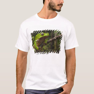 Riesenblätterfrosch Phyllomedusa bicolor) T-Shirt