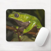 Riesenblattfrosch Phyllomedusa bicolor) 3 Mousepad (Mit Mouse)