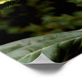 Riesenblume, gelbe Blume Poster (Ecke)