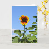 Riesenblume - Glückliche Grußkarte Karte (Gelbe Blume)