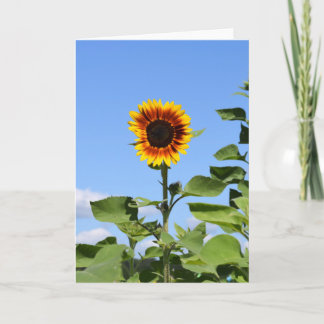 Riesenblume - Glückliche Grußkarte Karte