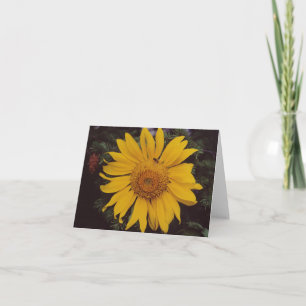 Riesenblume mit Biene, Grüne Kiefernzweige Karte
