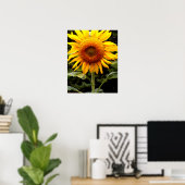 Riesenblumen, gelb blühend poster (Heimbüro)