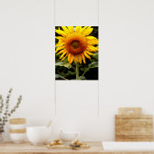 Riesenblumen, gelb blühend poster (Küche)