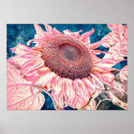 Riesenblumen Rosa Aquamarin Blau Vintag Poster