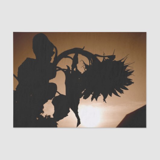 Riesenblumen Sepia Brown Vintages Dekoupage Seidenpapier (Vorderseite)