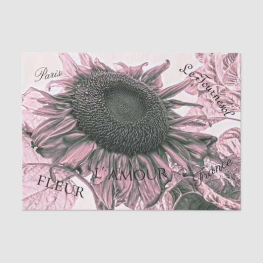 Riesenblumen Vintag Blush Pink Script Art Seidenpapier (Vorderseite)