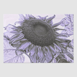 Riesenblumen Vintage Lila Entdeckungsreise zur Alp Seidenpapier