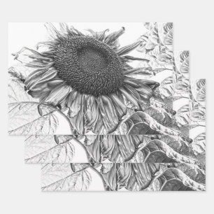 Riesenblumen, Vintage Schwarz-Weiß-Kunst Geschenkpapier Set