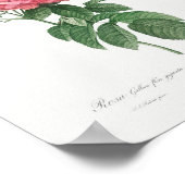 Riesenblüte der französischen Rose Vintag Blütenro Poster (Ecke)