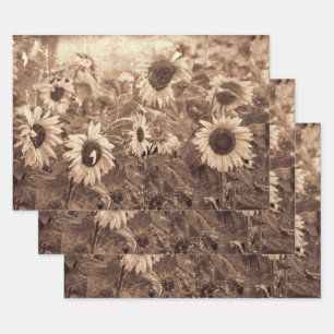 Riesenblüten Blütensepie Geschenkpapier Set