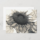 Riesenblüten Vintag Sepia Entdeckungsreise zur Alp Postkarte (Vorne/Hinten)