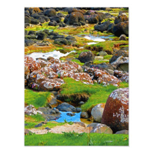 Riesenfaust- Ansicht 2 Fotodruck