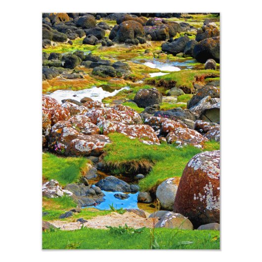 Riesenfaust- Ansicht 2 Fotodruck (Vorne)