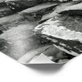 Riesenfaustreuer Fotodruck (Ecke)