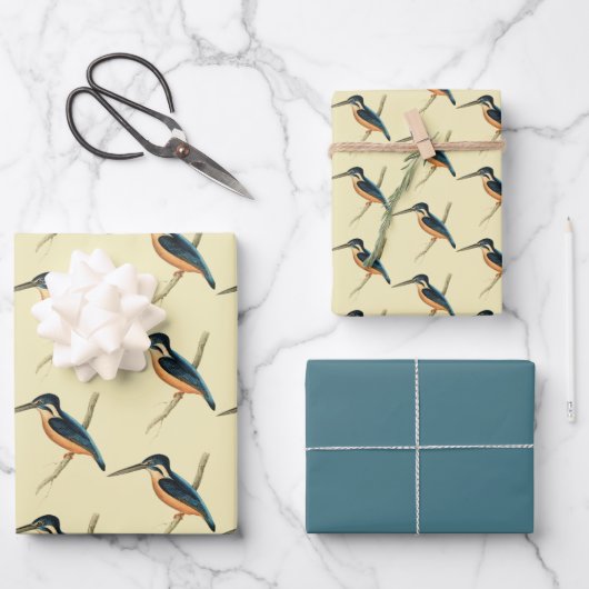 Riesenfisch Geschenkpapier Set (Vorderseite)