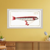 Riesenfisch Vintag drucken Leinwanddruck (Insitu (Wohnzimmer))
