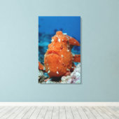 Riesenfisch zeigt seinen Fischlutscher (Antennari Leinwanddruck (Insitu (Holzboden))