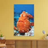 Riesenfisch zeigt seinen Fischlutscher (Antennari Leinwanddruck (Insitu (Wohnzimmer))