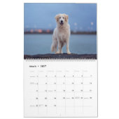 Riesenflüsse Kalender (Mär 2027)