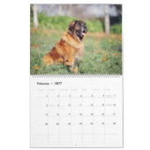 Riesenflüsse Kalender (Feb 2027)