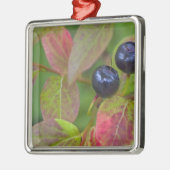 Riesengebäck im Flathead National Silbernes Ornament (Links)